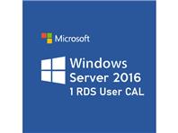 Microsoft Windows Server 2016 1 RDS User CAL, ESD