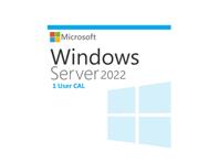 Microsoft Windows Server 2022, 1 User CAL, ESD, legalna licenca
